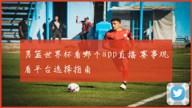 男篮世界杯看哪个app直播 赛事观看平台选择指南