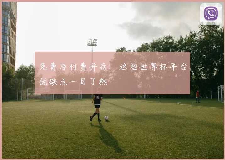 免费与付费并存：这些世界杯平台优缺点一目了然