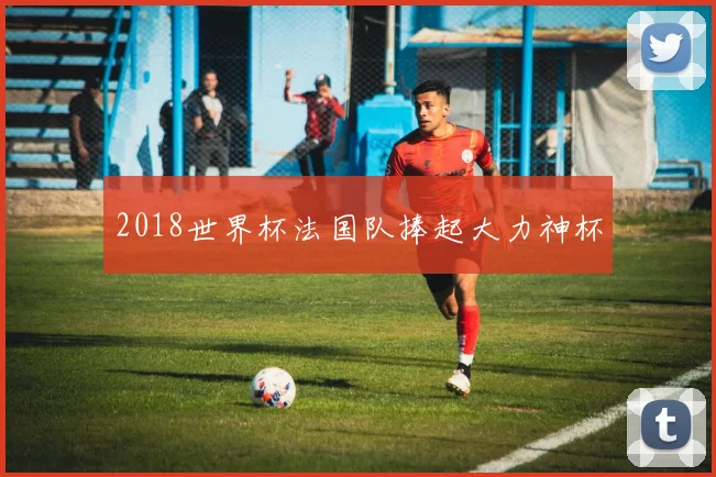 2018世界杯法国队捧起大力神杯
