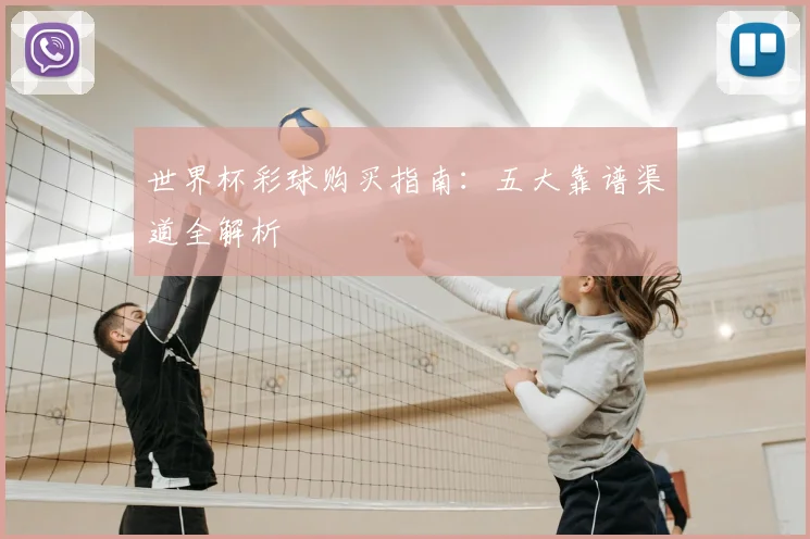 世界杯彩球购买指南:五大靠谱渠道全解析