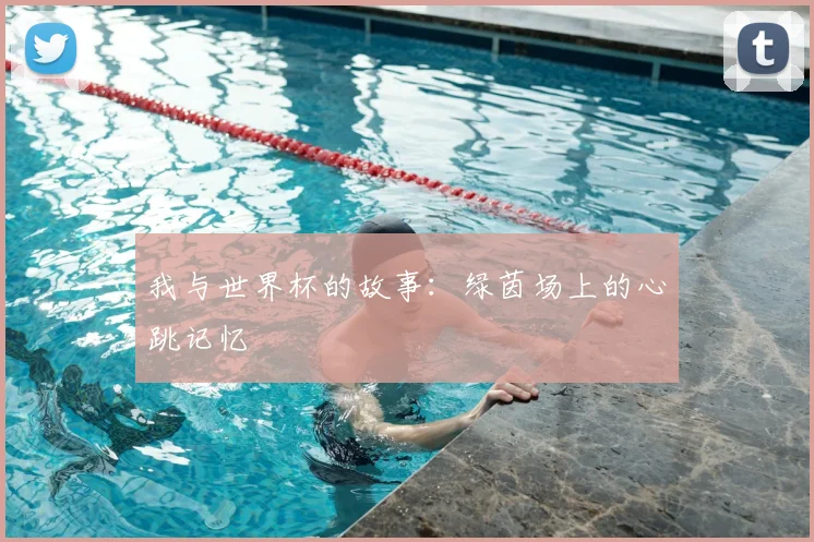 我与世界杯的故事：绿茵场上的心跳记忆