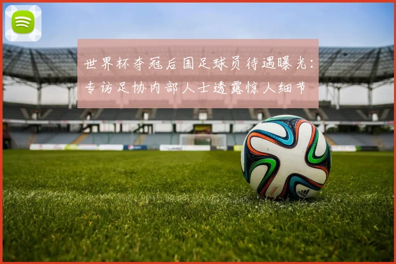世界杯夺冠后国足球员待遇曝光:专访足协内部人士透露惊人细节
