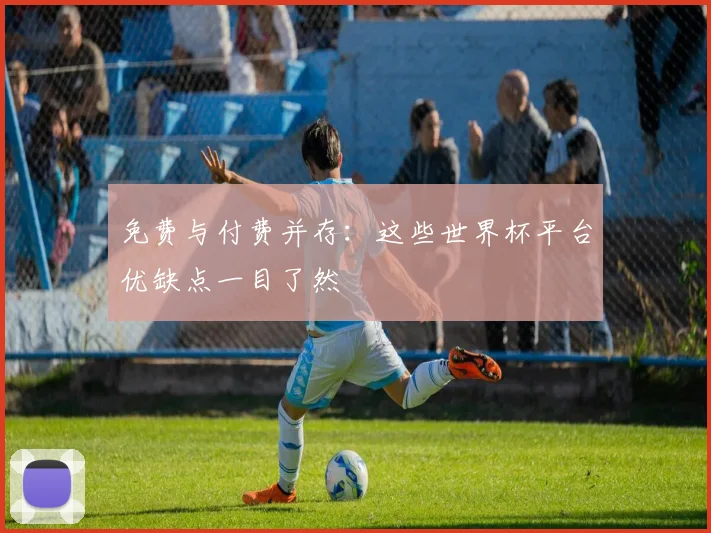 免费与付费并存:这些世界杯平台优缺点一目了然