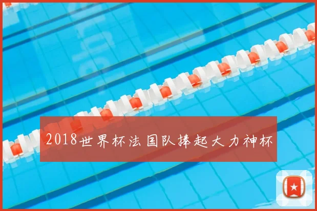 2018世界杯法国队捧起大力神杯