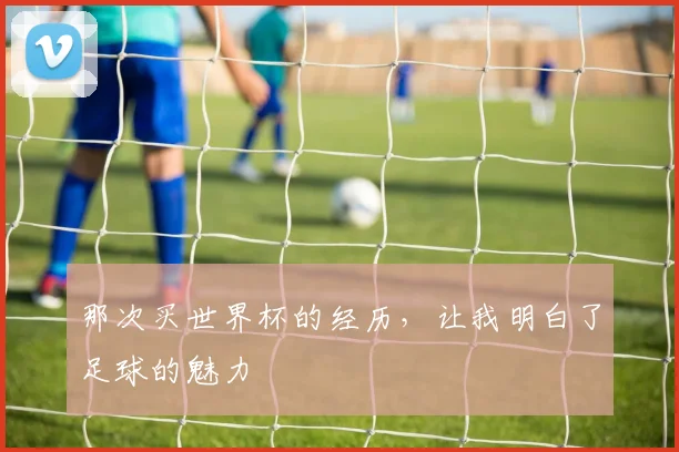 那次买世界杯的经历,让我明白了足球的魅力