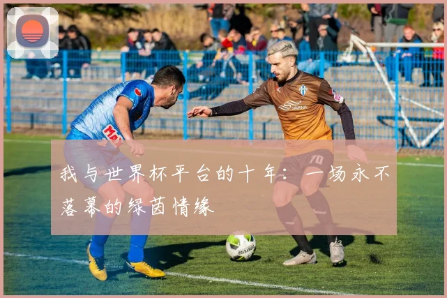 我与世界杯平台的十年:一场永不落幕的绿茵情缘