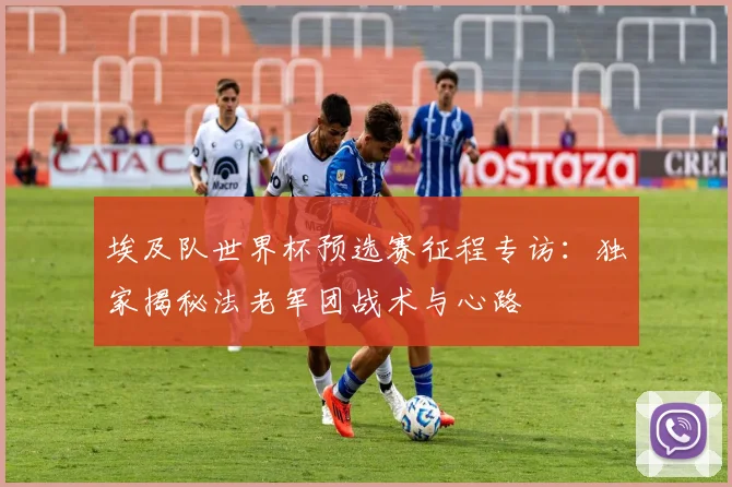 埃及队世界杯预选赛征程专访:独家揭秘法老军团战术与心路