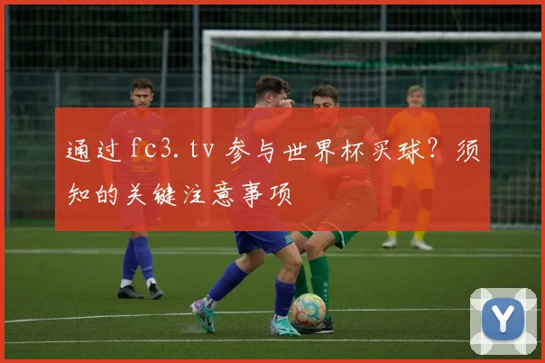 通过 fc3.tv 参与世界杯买球?须知的关键注意事项