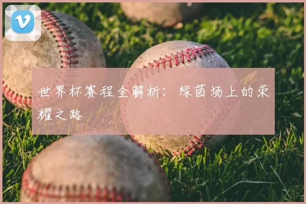 世界杯赛程全解析:绿茵场上的荣耀之路