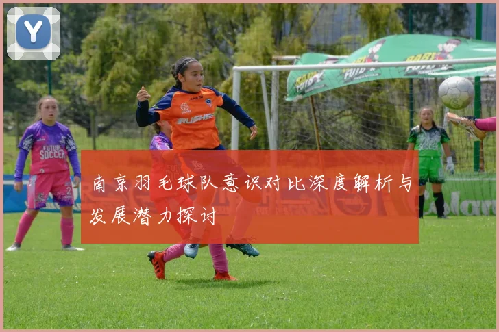 南京羽毛球队意识对比深度解析与发展潜力探讨