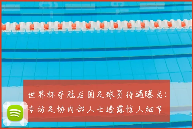 世界杯夺冠后国足球员待遇曝光:专访足协内部人士透露惊人细节